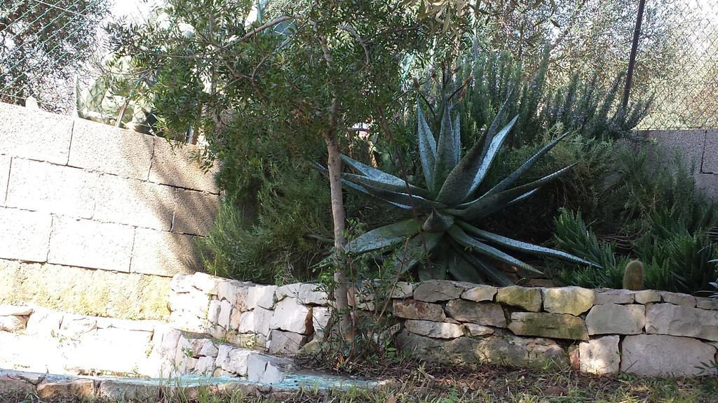 Villa Minteco Patù エクステリア 写真
