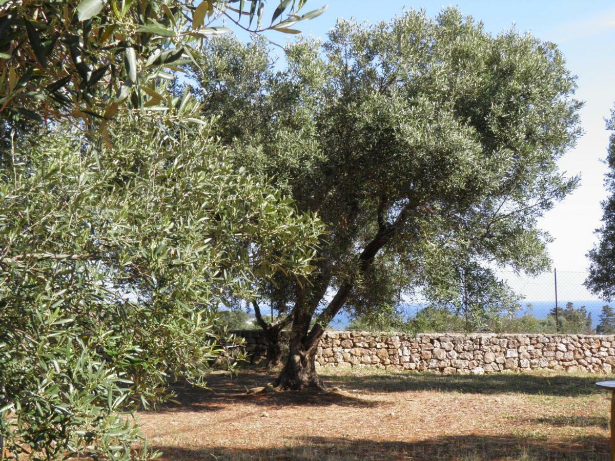Villa Minteco Patù エクステリア 写真